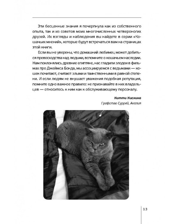 Как быть кошкой