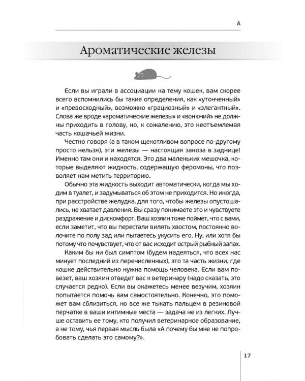 Как быть кошкой