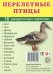 Раздаточные карточки "Перелетные птицы" (16 карточек)
