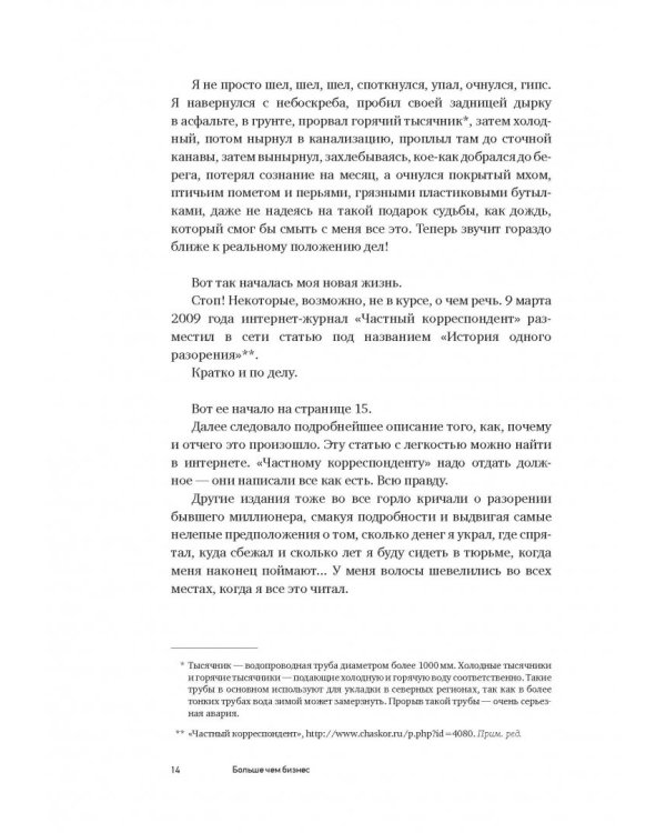 Больше чем бизнес. Как построить компанию, попасть в тюрьму, выбраться из нее и открыть новое дело