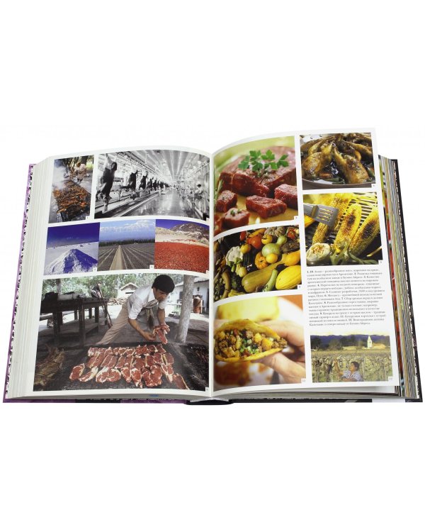 Гастрономическая энциклопедия "Ларусс". Том 1. Комплект из 2-х книг (количество томов: 2)