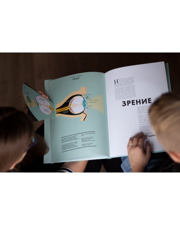 Анатомия. Интерактивный атлас с клапанами и резными иллюстрациями