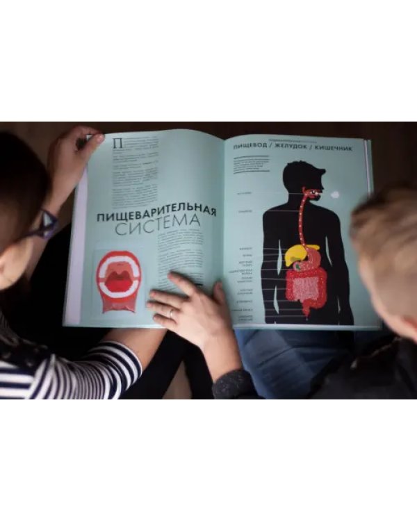 Анатомия. Интерактивный атлас с клапанами и резными иллюстрациями