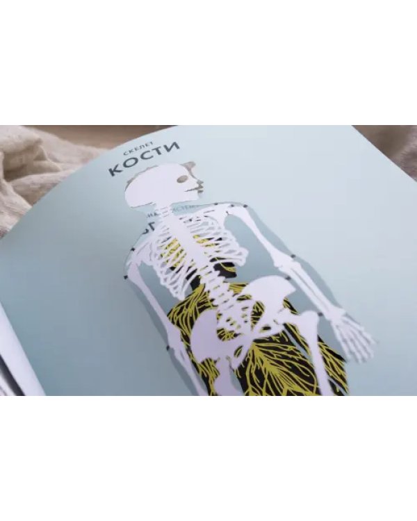 Анатомия. Интерактивный атлас с клапанами и резными иллюстрациями