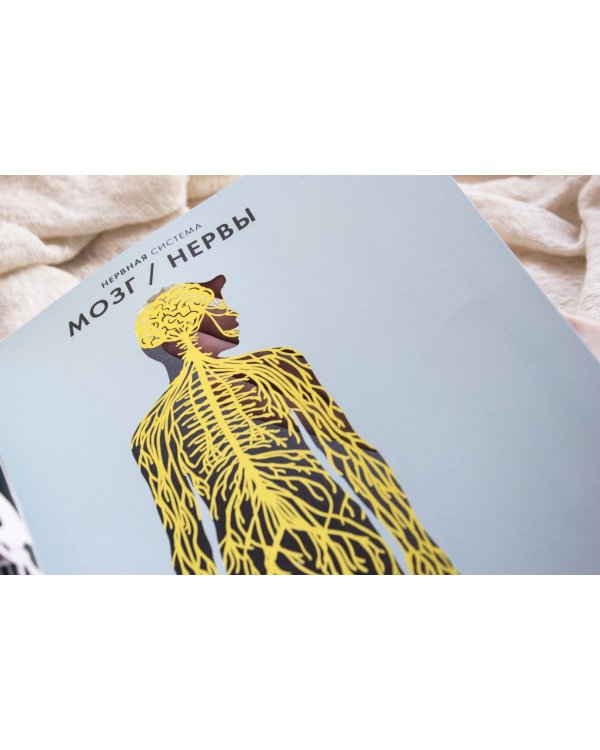 Анатомия. Интерактивный атлас с клапанами и резными иллюстрациями