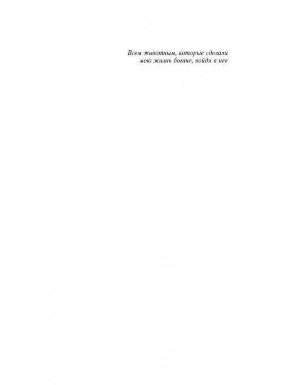 Список желаний Бумера