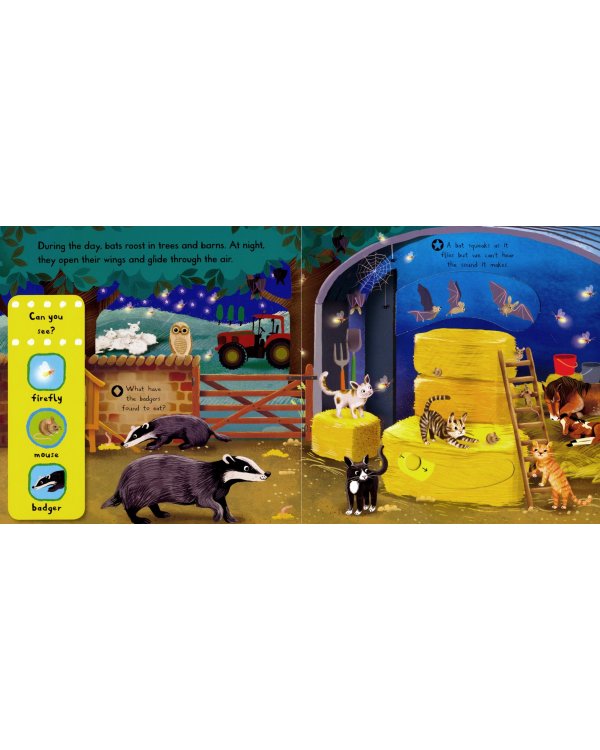 Night Animals. Board book