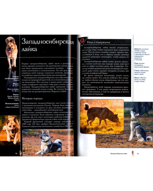 Собаки. Иллюстрированный гид