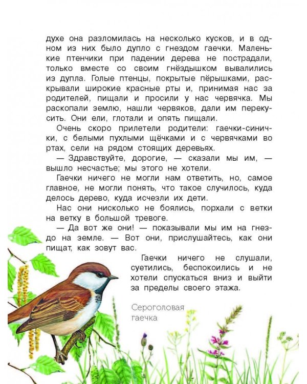 Рассказы о природе