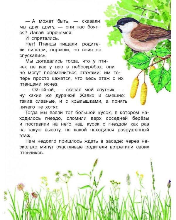 Рассказы о природе