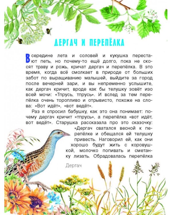 Рассказы о природе