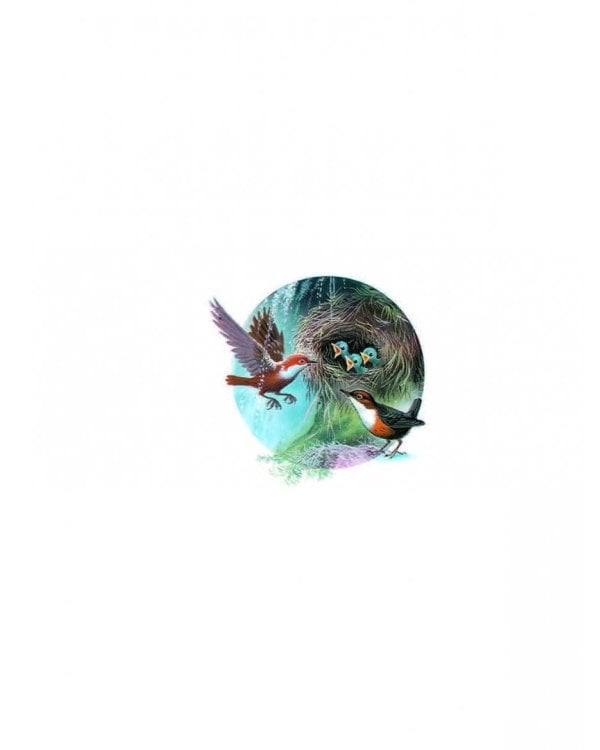 Приключения Сони и Вани