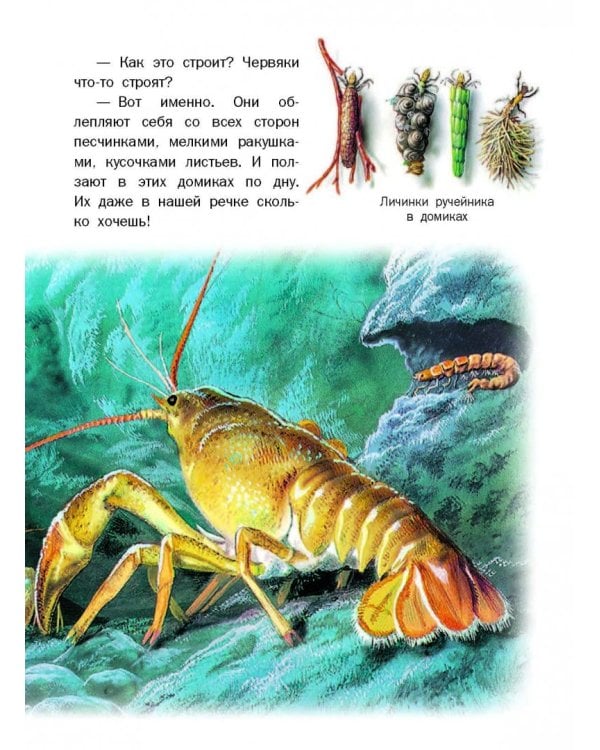 Приключения Сони и Вани