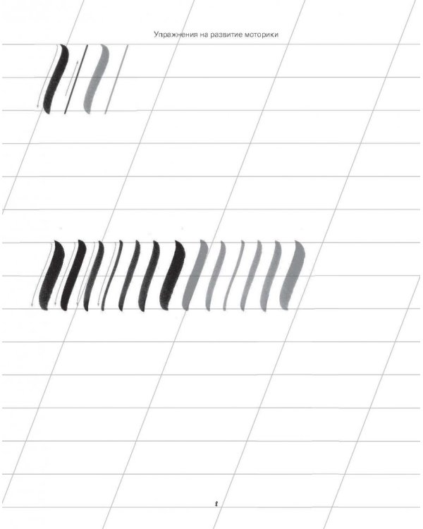 Каллиграфия кистями. Советы, приемы и идеи для творчества