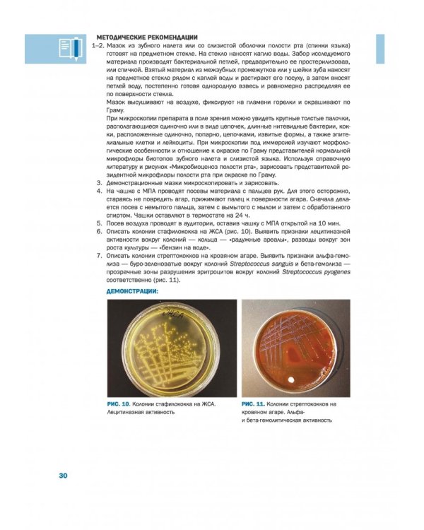 Лабораторный практикум по микробиологии полости рта с формируемыми компетенциями. Часть 1. Общая микробиология. Методы микробиологии в стоматологии