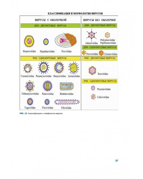 Лабораторный практикум по микробиологии полости рта с формируемыми компетенциями. Часть 1. Общая микробиология. Методы микробиологии в стоматологии