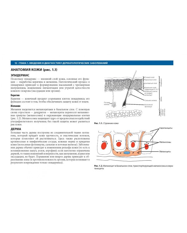 Дифференциальная диагностика в дерматологии. Атлас