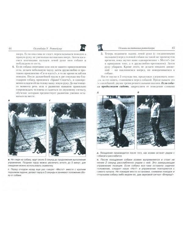 Ротвейлер. Мощь и надежность