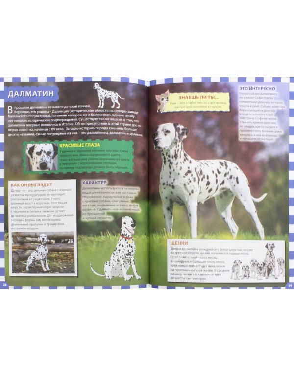 Собаки и щенки