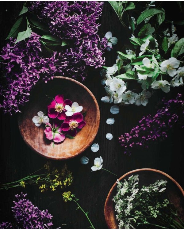 Искусство десерта и фотографии