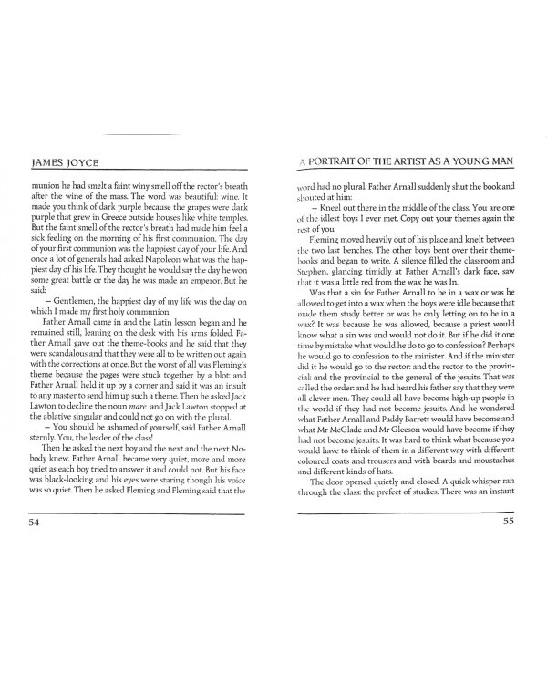 A Portrait of the Artist as a Young Man