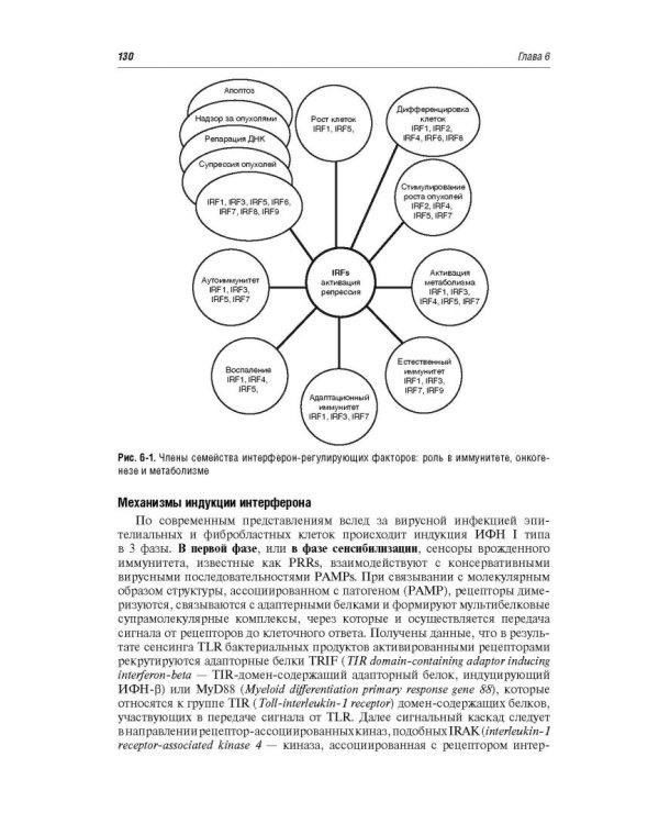 Иммунотерапия. Руководство для врачей