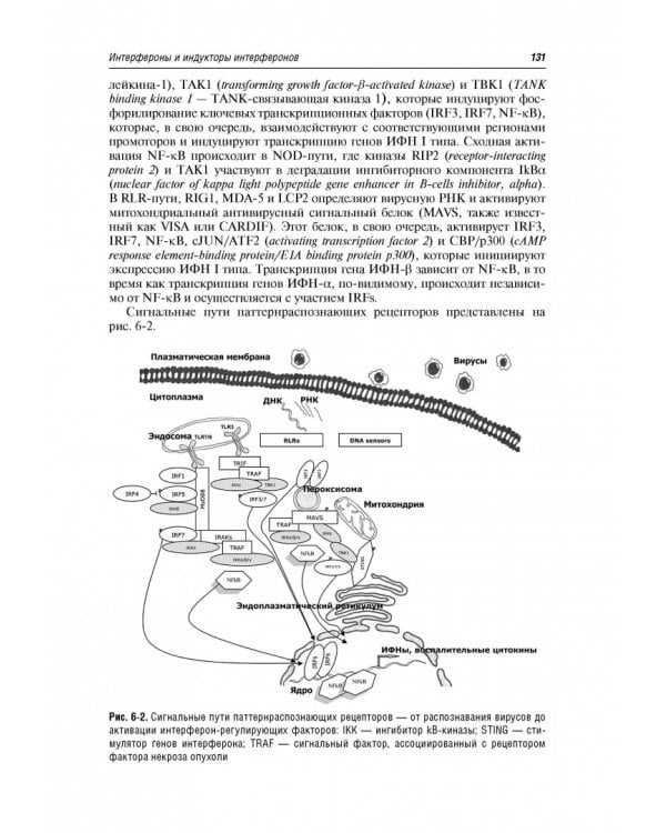 Иммунотерапия. Руководство для врачей