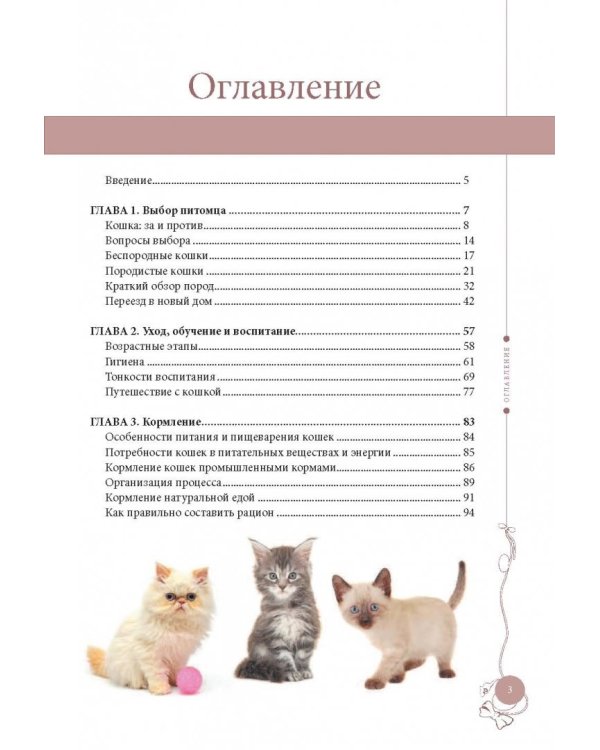 Мой любимый котенок. Как выбрать, воспитывать и ухаживать