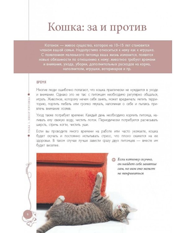 Мой любимый котенок. Как выбрать, воспитывать и ухаживать