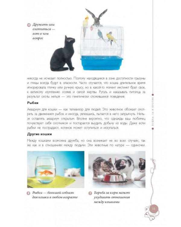 Мой любимый котенок. Как выбрать, воспитывать и ухаживать