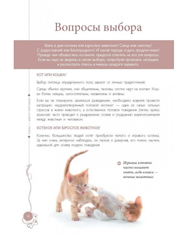 Мой любимый котенок. Как выбрать, воспитывать и ухаживать