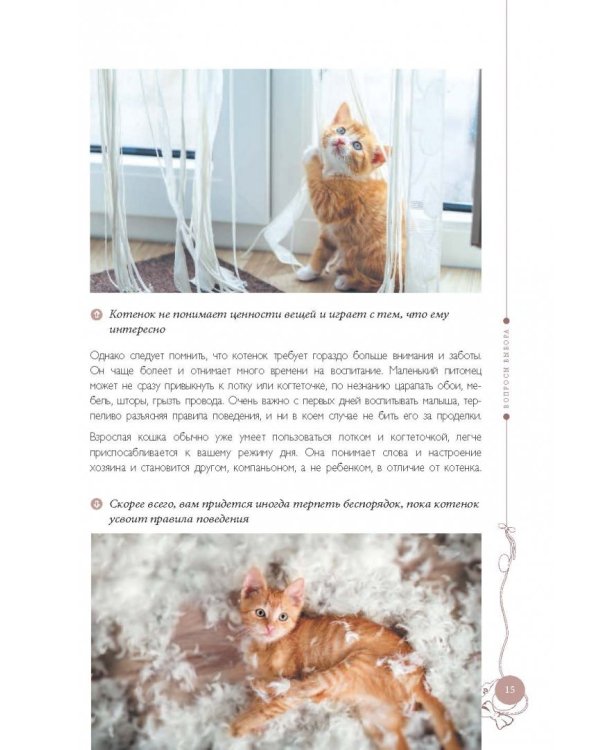Мой любимый котенок. Как выбрать, воспитывать и ухаживать