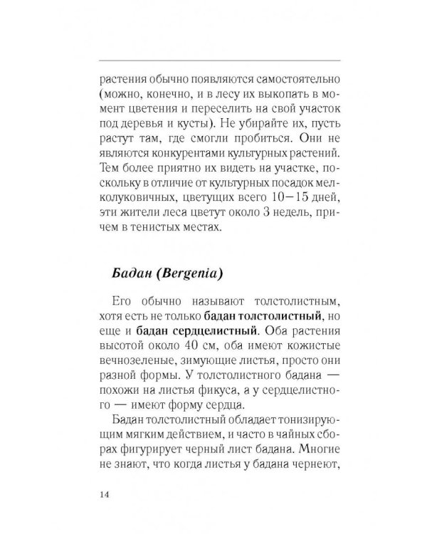 Красивый сад с весны до осени без особых усилий