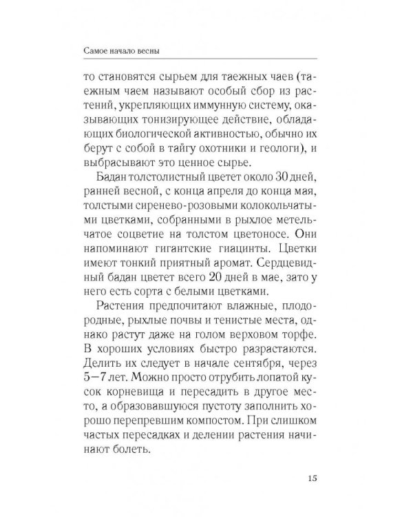 Красивый сад с весны до осени без особых усилий