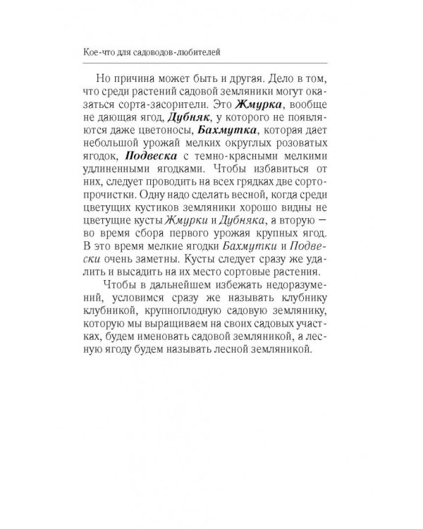 Крупноплодная садовая земляника. Проверенные сорта, способы повышения урожая