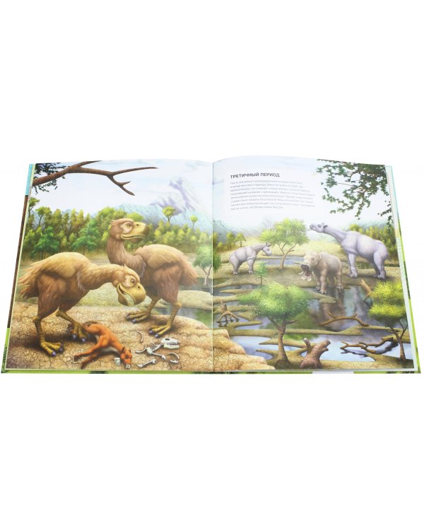 Доисторический период