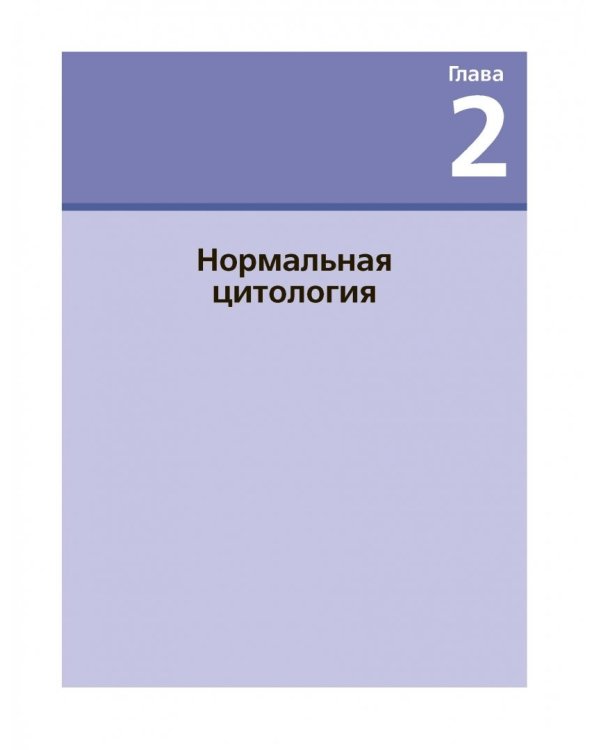 Цитологическое исследование цервикальных мазков. Атлас