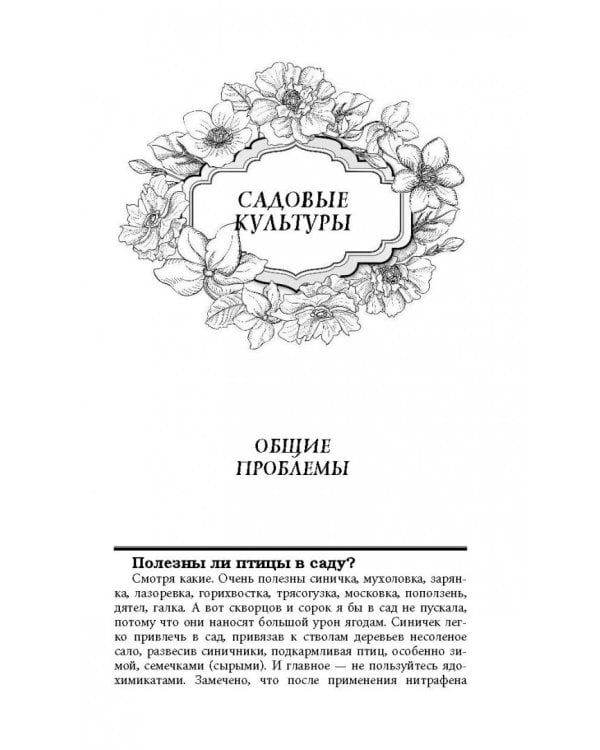 Все секреты повышения урожайности на маленьком участке. Как вырастить урожай на зависть соседям