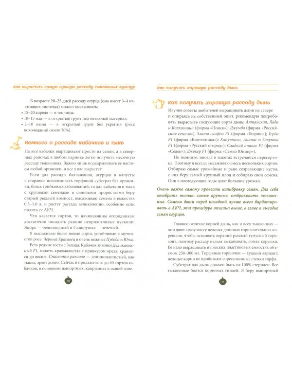 Огурцы и кабачки на эко-грядках. Урожай без химии!