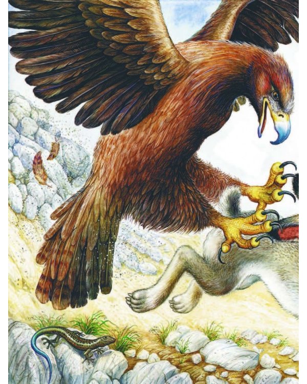 Сказки лесной опушки