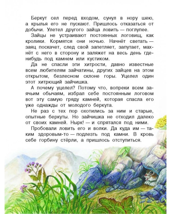 Сказки лесной опушки