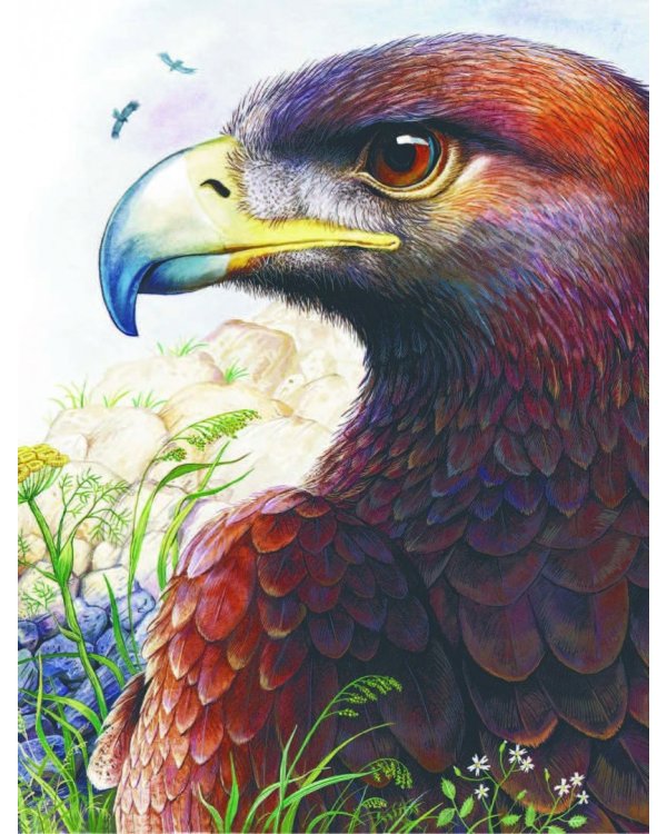 Сказки лесной опушки