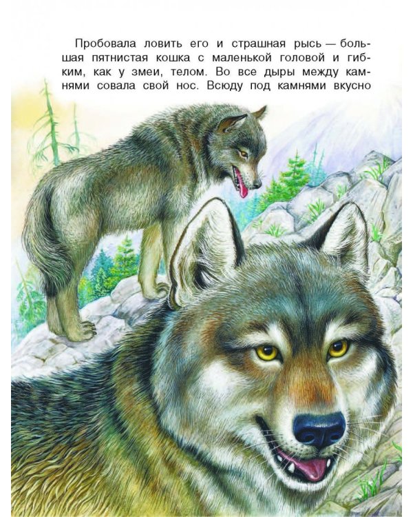 Сказки лесной опушки