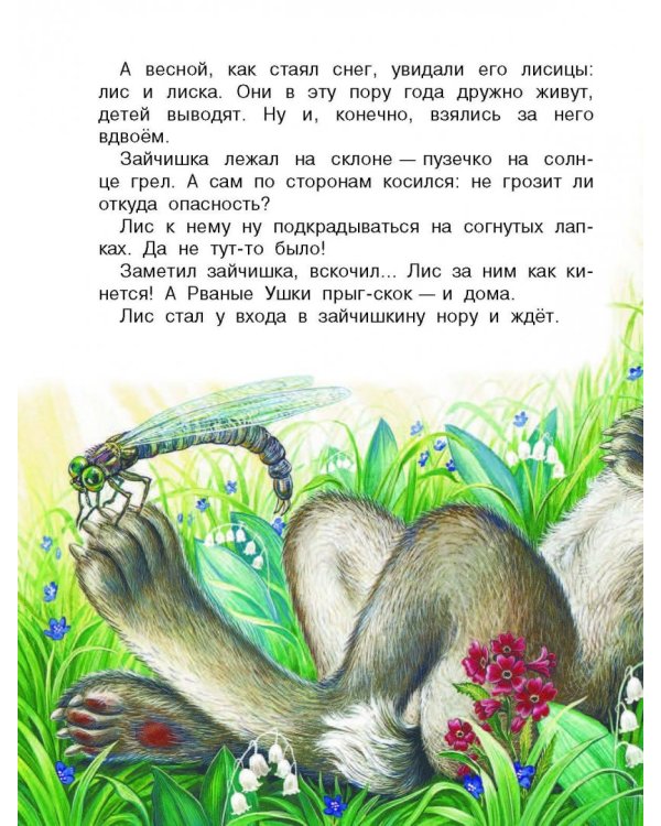 Сказки лесной опушки