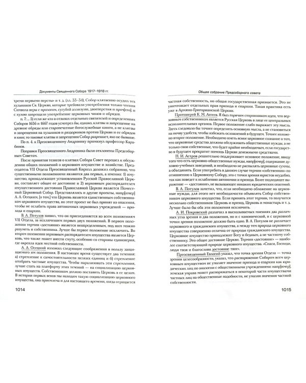 Документы Священного Собора Православной Российской Церкви. Том 1. Книги 1-2 (количество томов: 2)