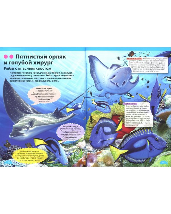 Животные морей и океанов