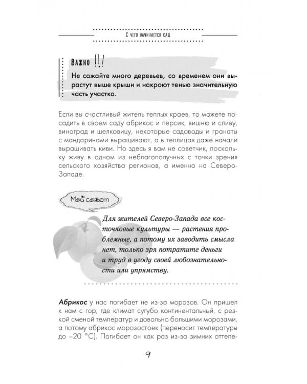 Секреты фруктового сада. Урожай на зависть соседям