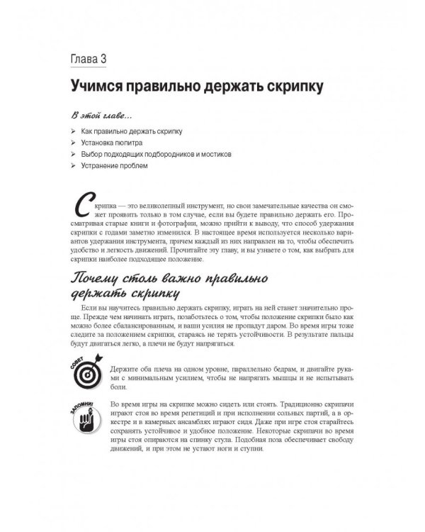 Скрипка для чайников (+аудио- и видеокурс on-line)