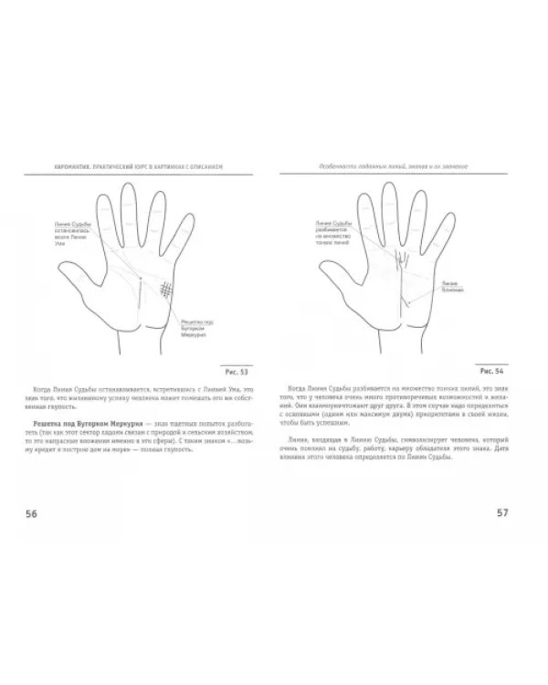 Хиромантия. Практический курс в картинках с описанием