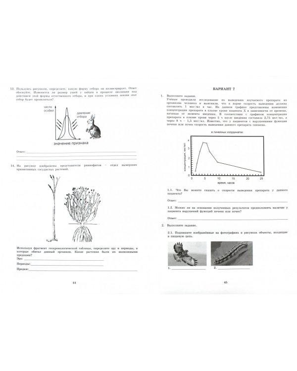 Биология. 11 класс. 10 вариантов итоговых работ для подготовки к ВПР